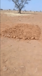 A screengrab of a video reportedly showing a mass grave in Soro