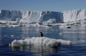 Higher temperatures have led to faster melting of polar ice caps