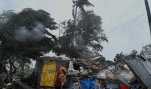 Numerous reports of fallen trees, debris and electricity poles emerged after the cyclone. AP