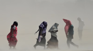 Sandstorms or "Dustdevils" are a common sight in Rajasthan in the long summer months. HT