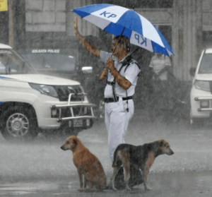 IMD says rains will arrive in West Bengal, Bihar, and Jharkhand, by June 16. ANI